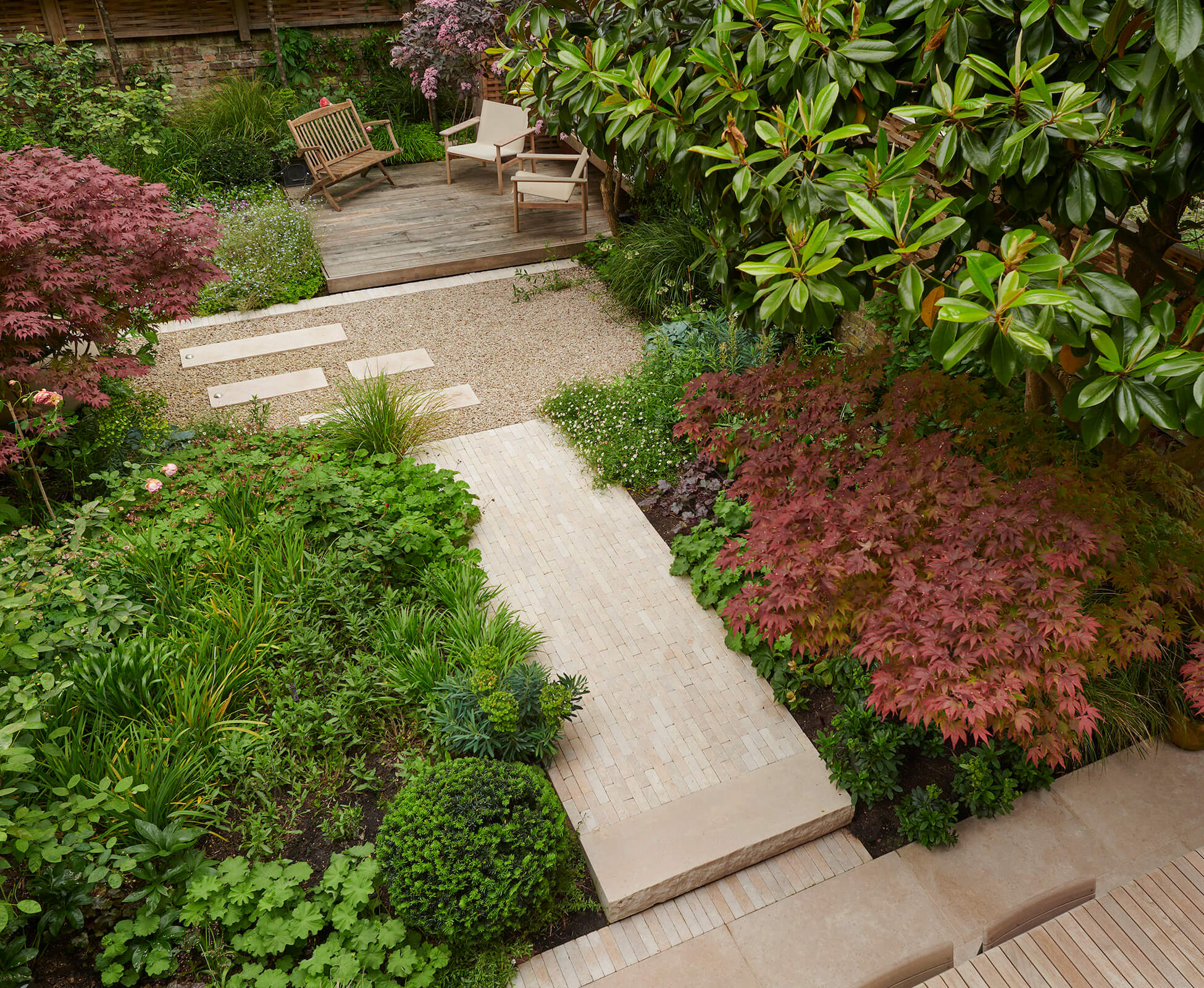 In this Highbury garden an overhanging purple Acer provides an umbrella for the dining space. 